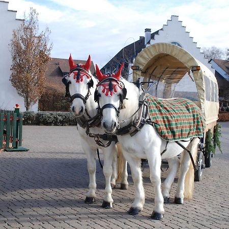 Hofgut Albfuehren Hotel Dettighofen  ภายนอก รูปภาพ