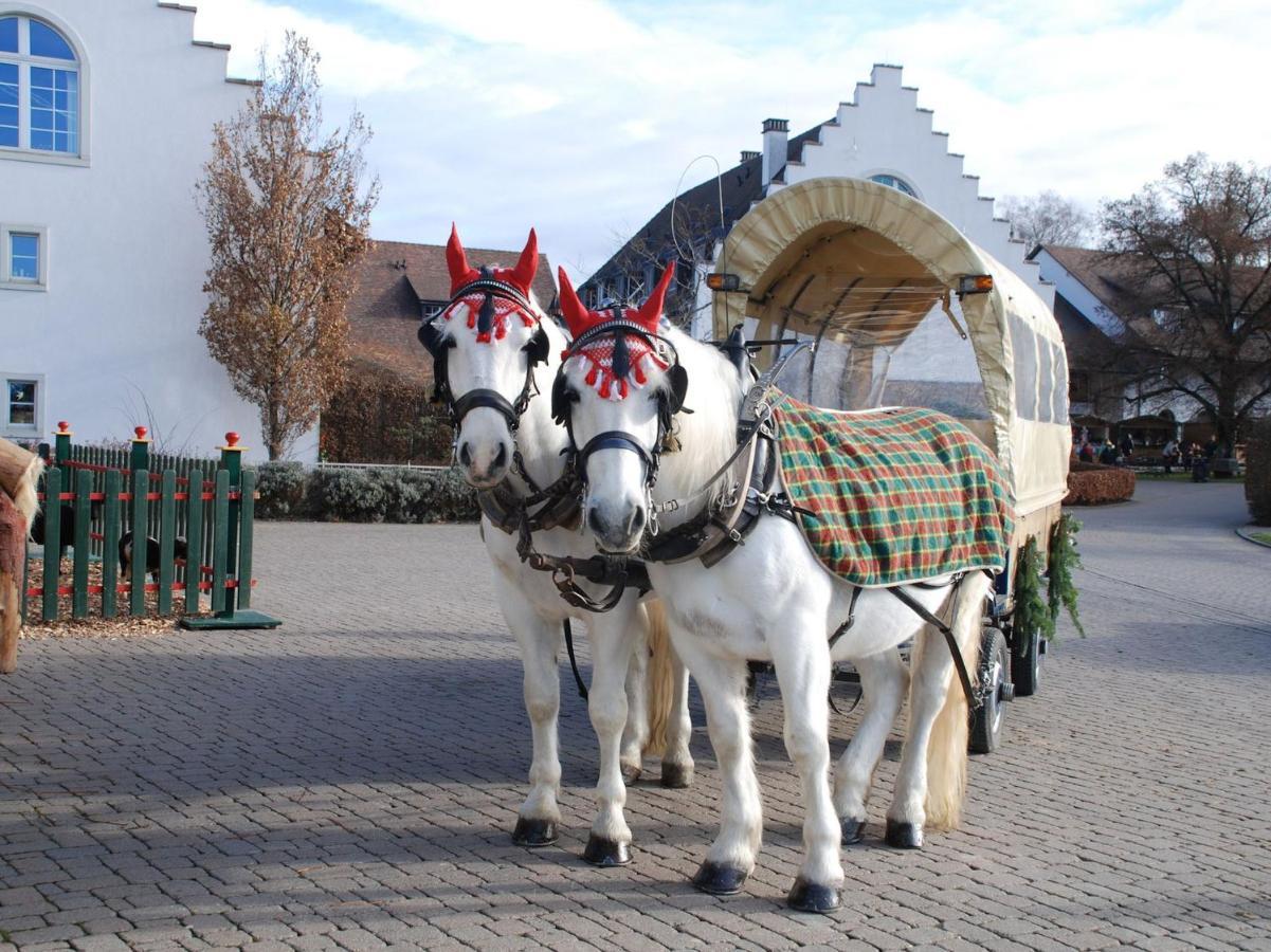 Hofgut Albfuehren Hotel Dettighofen  ภายนอก รูปภาพ